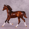 &quot;Bellwether&quot; OOAK FCM Yearling by Julie Keim EQ25