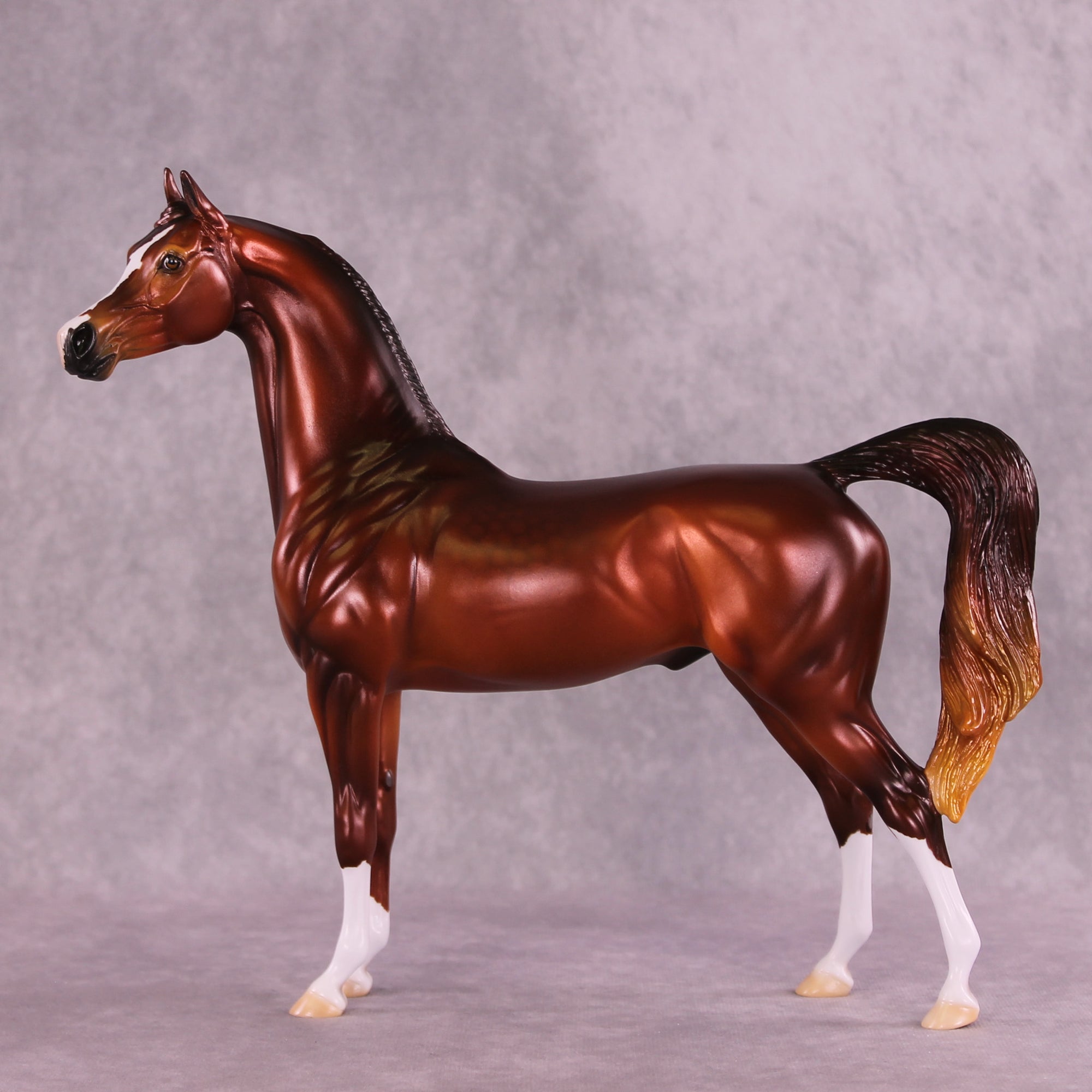 Calvin OOAK Arabian Stallion by Ellen Robbins DDOOAKs25