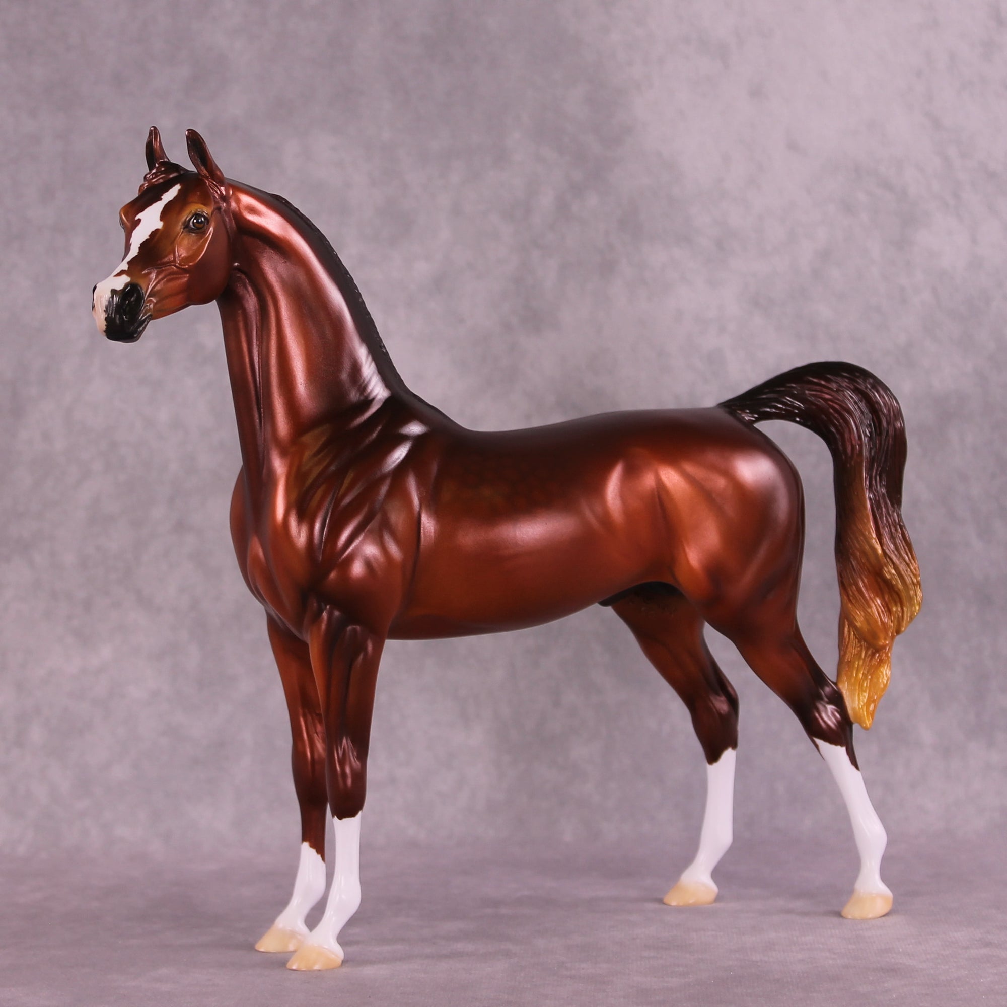 Calvin OOAK Arabian Stallion by Ellen Robbins DDOOAKs25