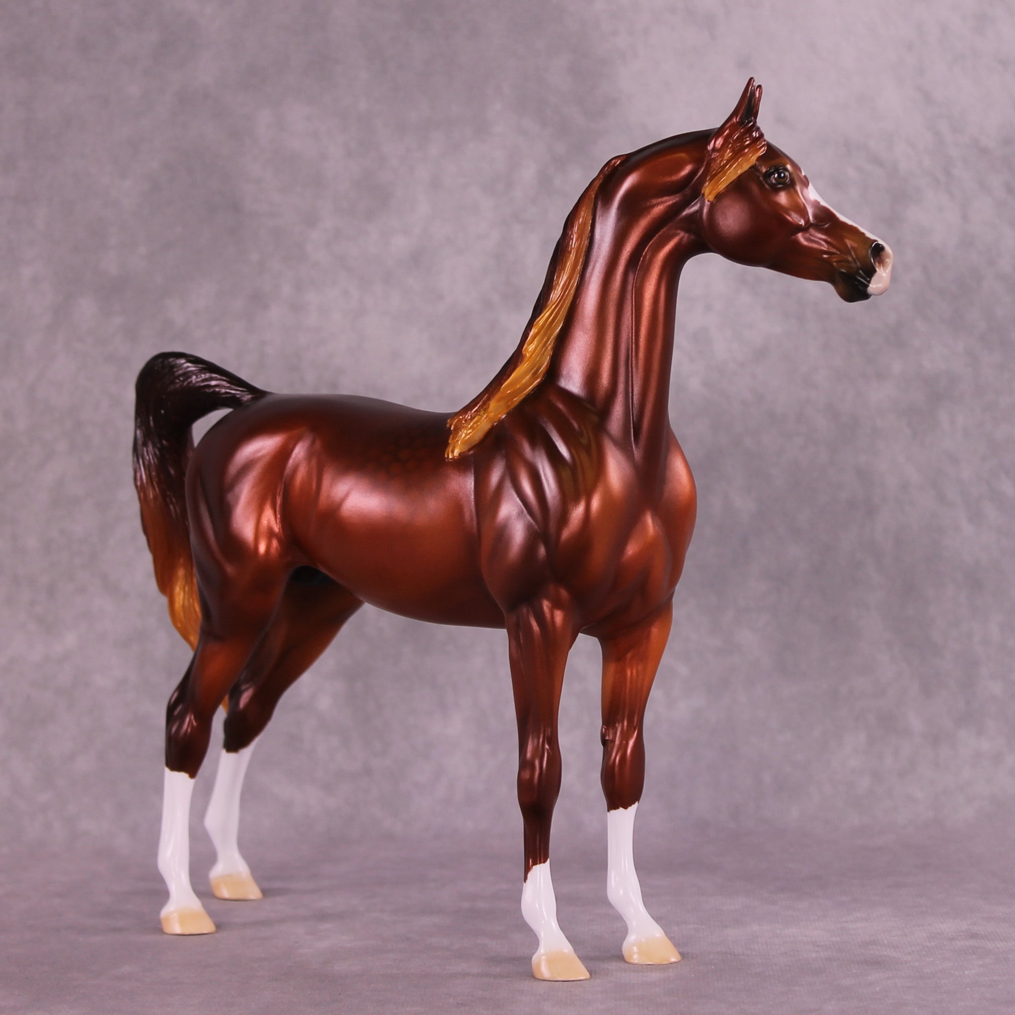 Calvin OOAK Arabian Stallion by Ellen Robbins DDOOAKs25