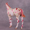 Hānau Hope OOAK FCM Stock Horse Weanling By Kristen Cermele July GemStones Series
