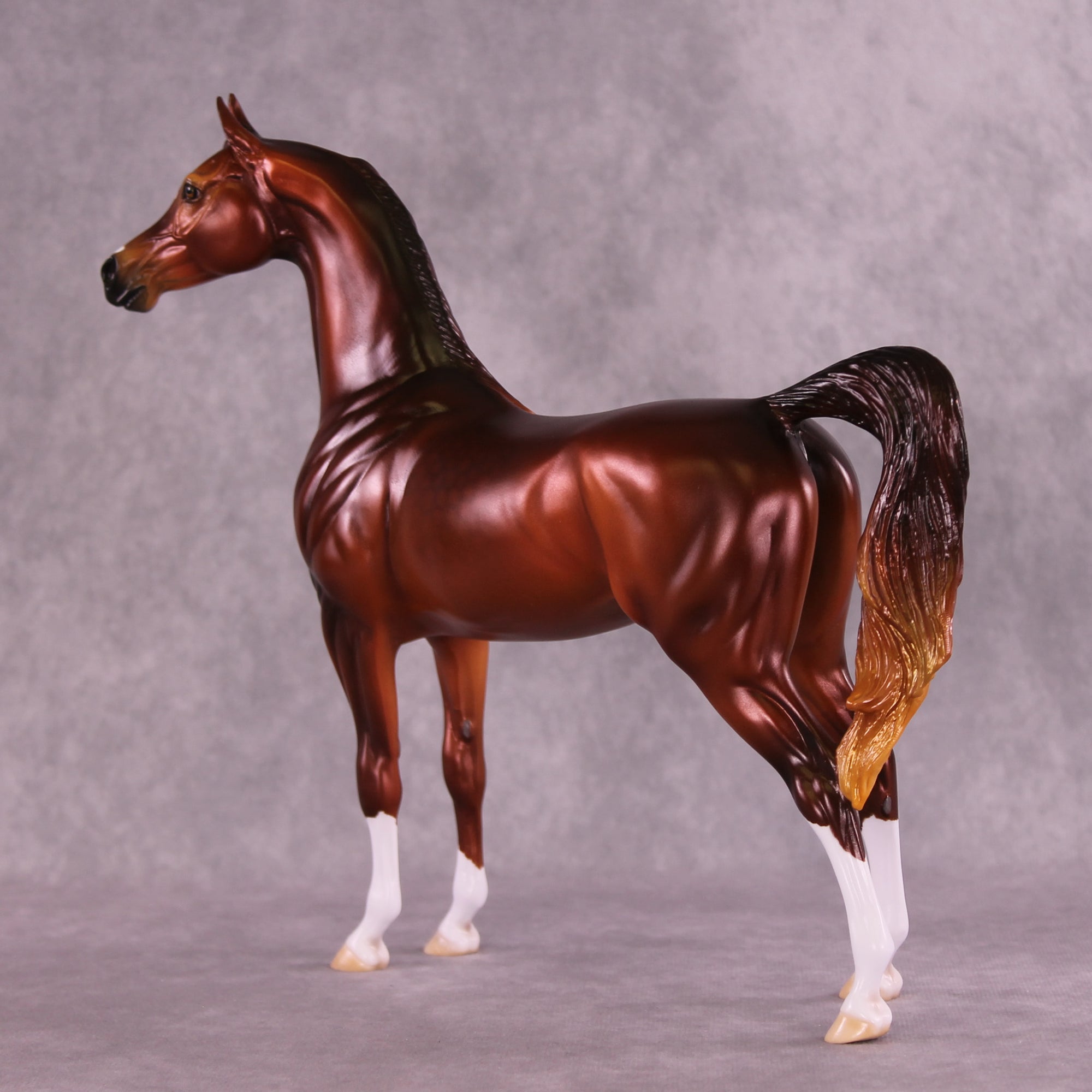 Calvin OOAK Arabian Stallion by Ellen Robbins DDOOAKs25