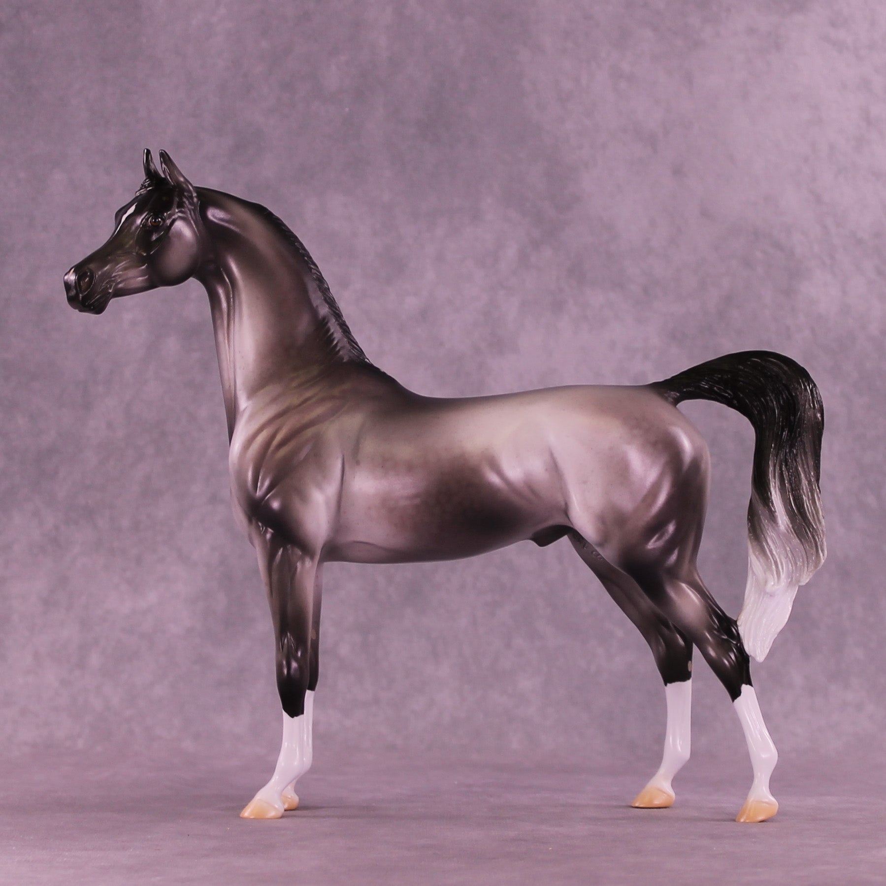 Satellite OOAK Arabian Stallion by Jess Hamill DDOOAKs26
