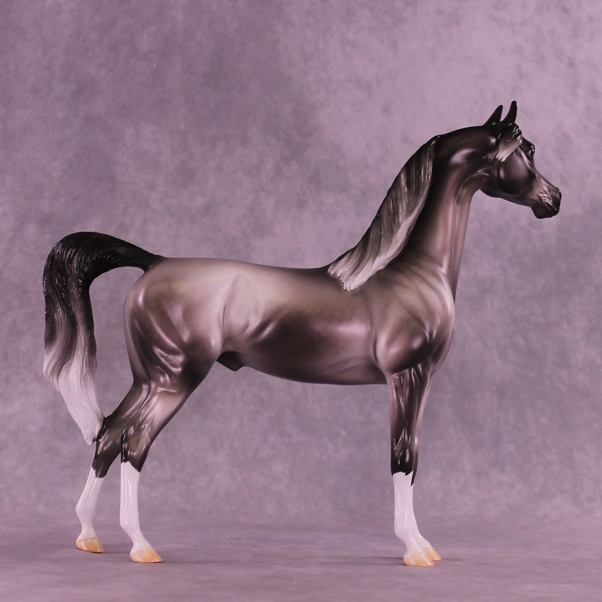 Satellite OOAK Arabian Stallion by Jess Hamill DDOOAKs26