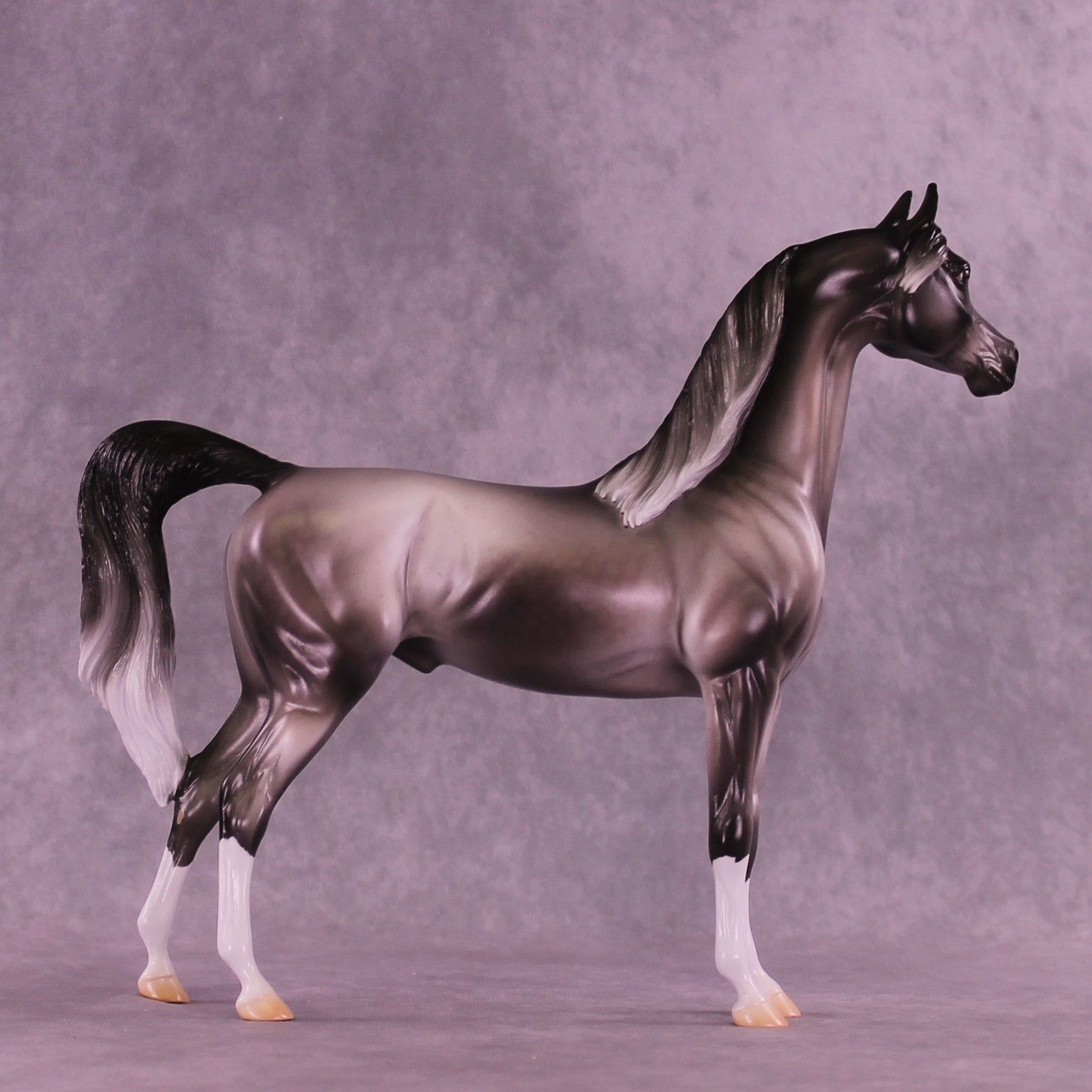 Satellite OOAK Arabian Stallion by Jess Hamill DDOOAKs26