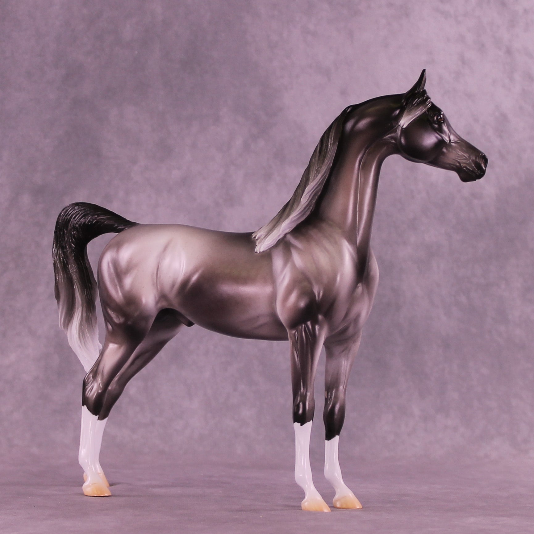 Satellite OOAK Arabian Stallion by Jess Hamill DDOOAKs26