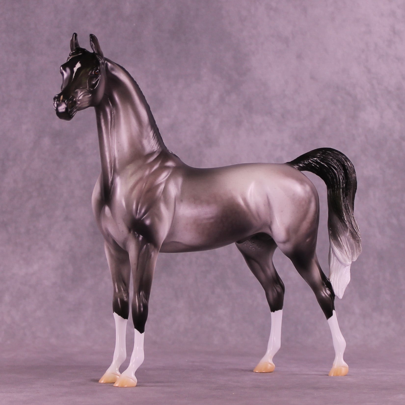 Satellite OOAK Arabian Stallion by Jess Hamill DDOOAKs26