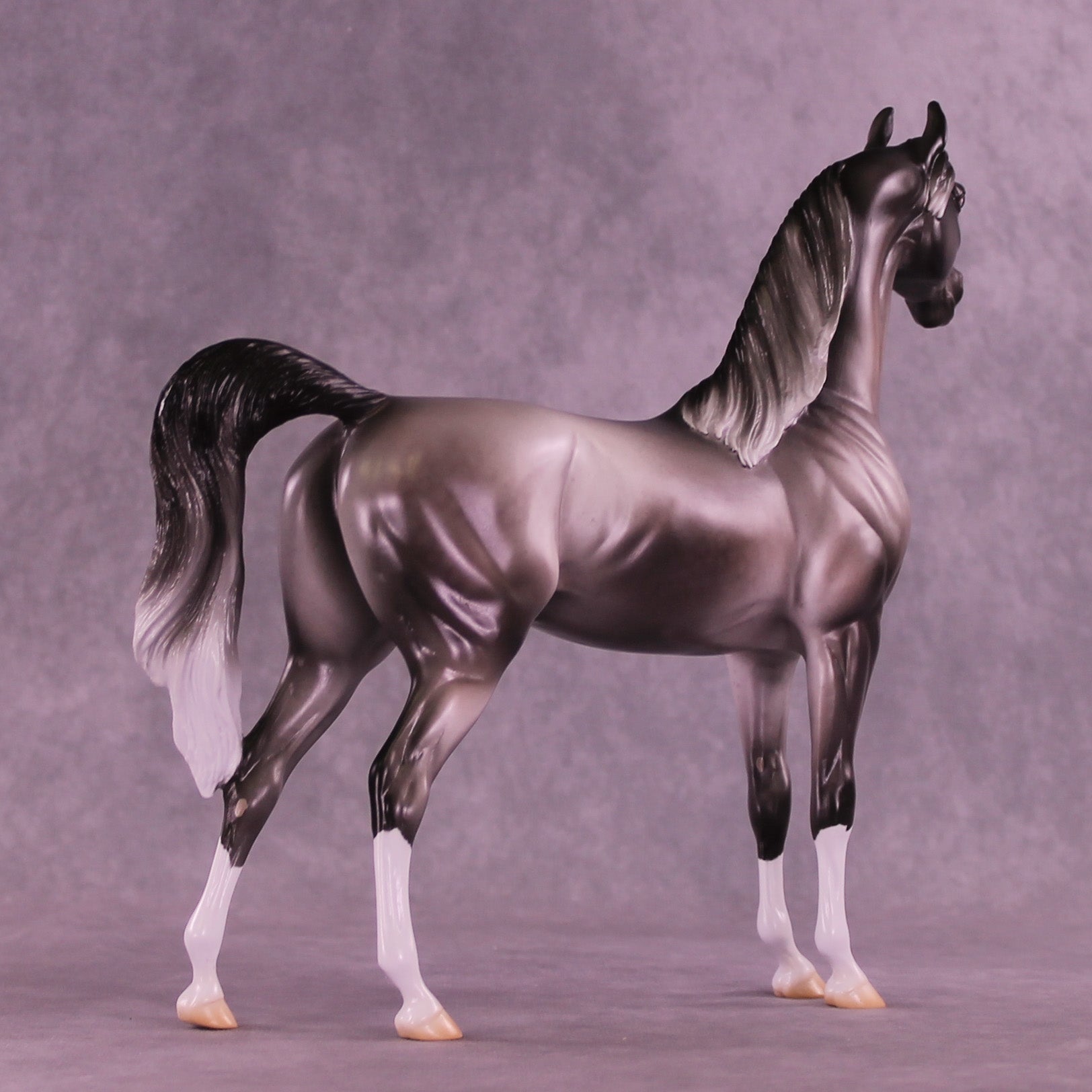 Satellite OOAK Arabian Stallion by Jess Hamill DDOOAKs26