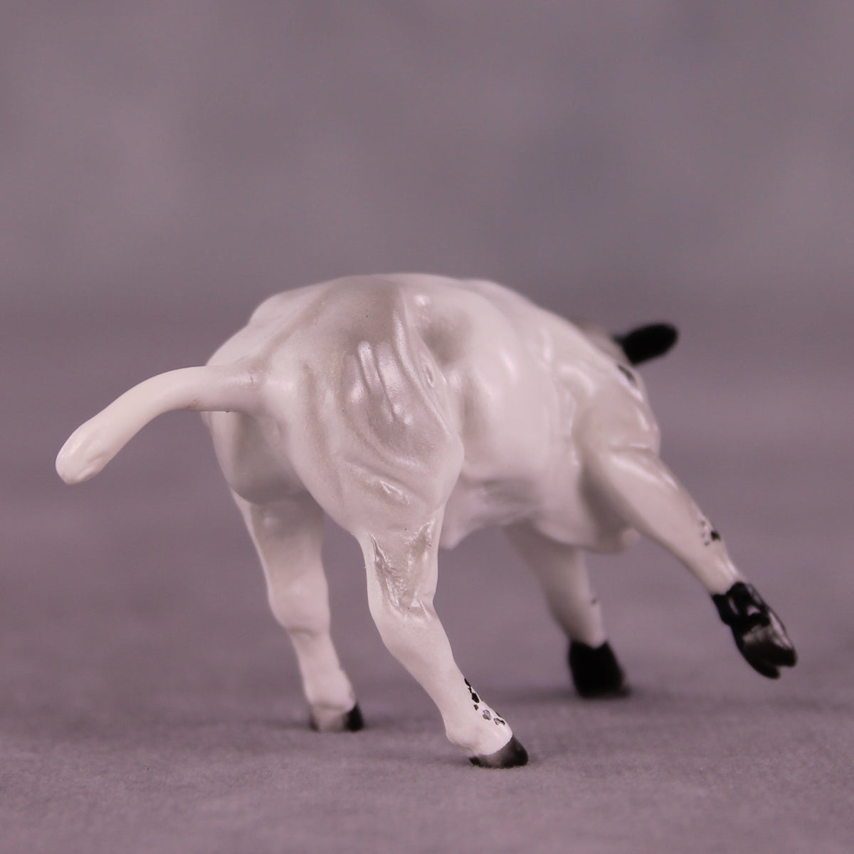 Augusta OOAK Calf Chip by Anna Rieck LHS25