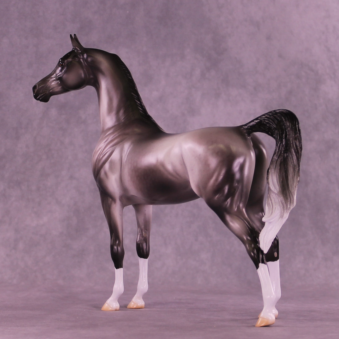 Satellite OOAK Arabian Stallion by Jess Hamill DDOOAKs26