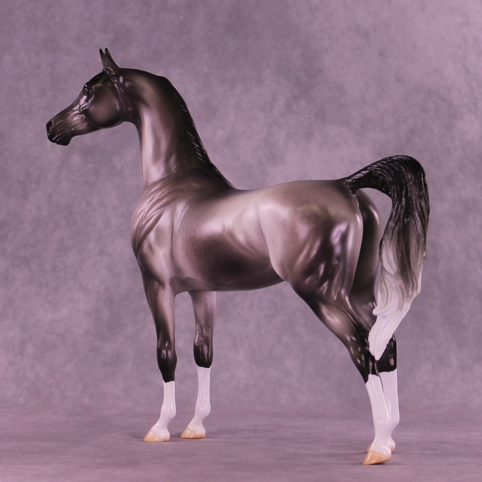 Satellite OOAK Arabian Stallion by Jess Hamill DDOOAKs26
