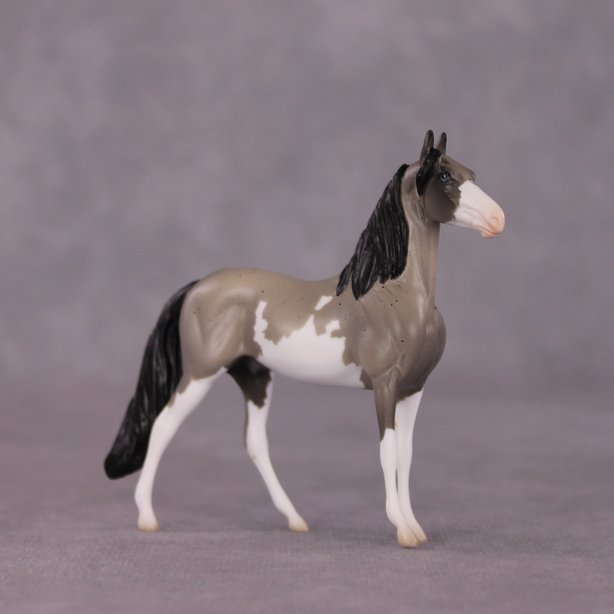 "Interstellar" LE-5 Morgan Chip By Erin Corbett $99 Chips Sale 05/01/2025