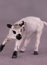 Augusta OOAK Calf Chip by Anna Rieck LHS25