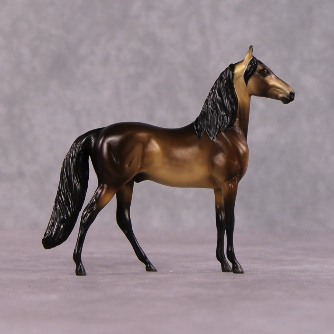 "Jyra" OOAK Dappled Sooty Buckskin Morgan Chip By Ellen Robbins Shakespeare Sonnet 18 & 130 Chips CL25