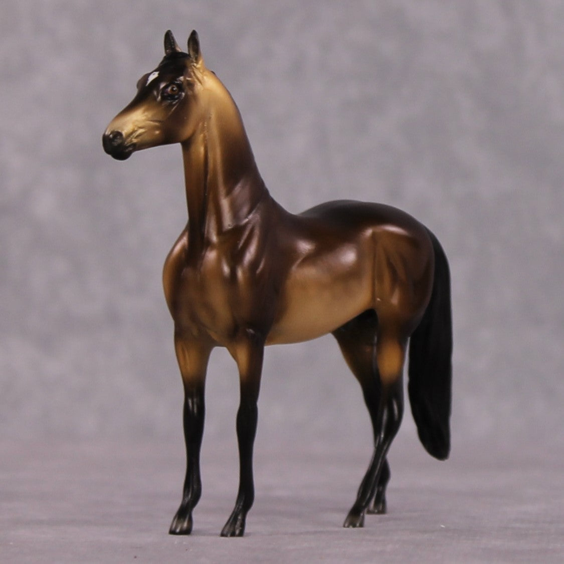 "Jyra" OOAK Dappled Sooty Buckskin Morgan Chip By Ellen Robbins Shakespeare Sonnet 18 &amp; 130 Chips CL25