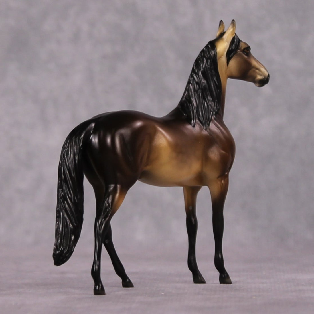 "Jyra" OOAK Dappled Sooty Buckskin Morgan Chip By Ellen Robbins Shakespeare Sonnet 18 & 130 Chips CL25