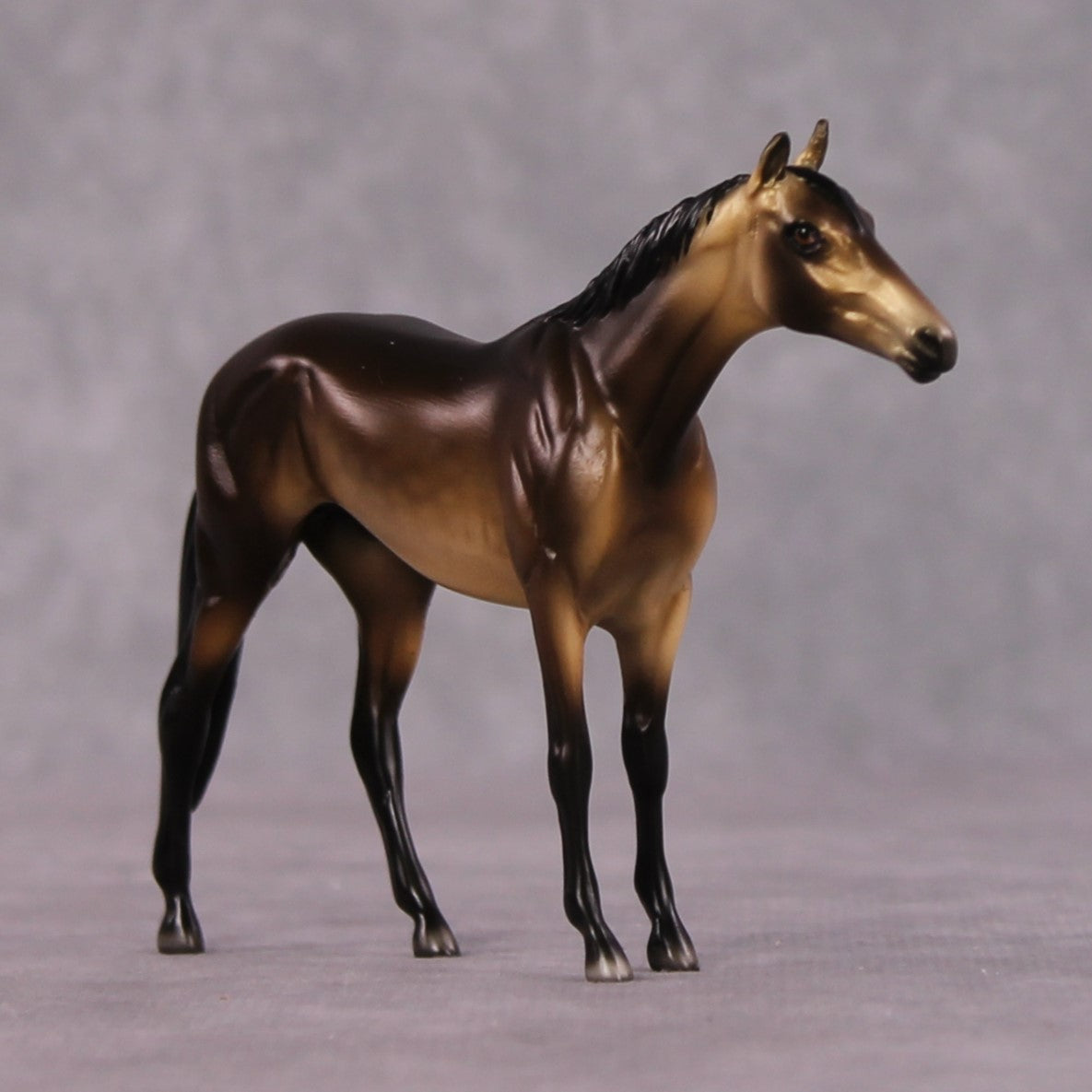 "Allure" OOAK Dappled Sooty Buckskin Thoroughbred Chip By Ellen Robbins Shakespeare Sonnet 18 &amp; 130 Chips CL25