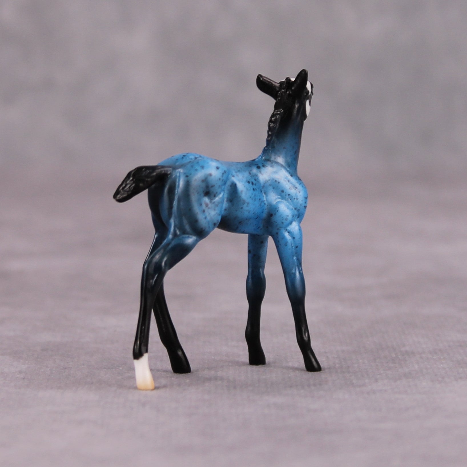 Zero Gravity OOAK Blue Skull Deco Foal Chip By Jess Hamill MM24