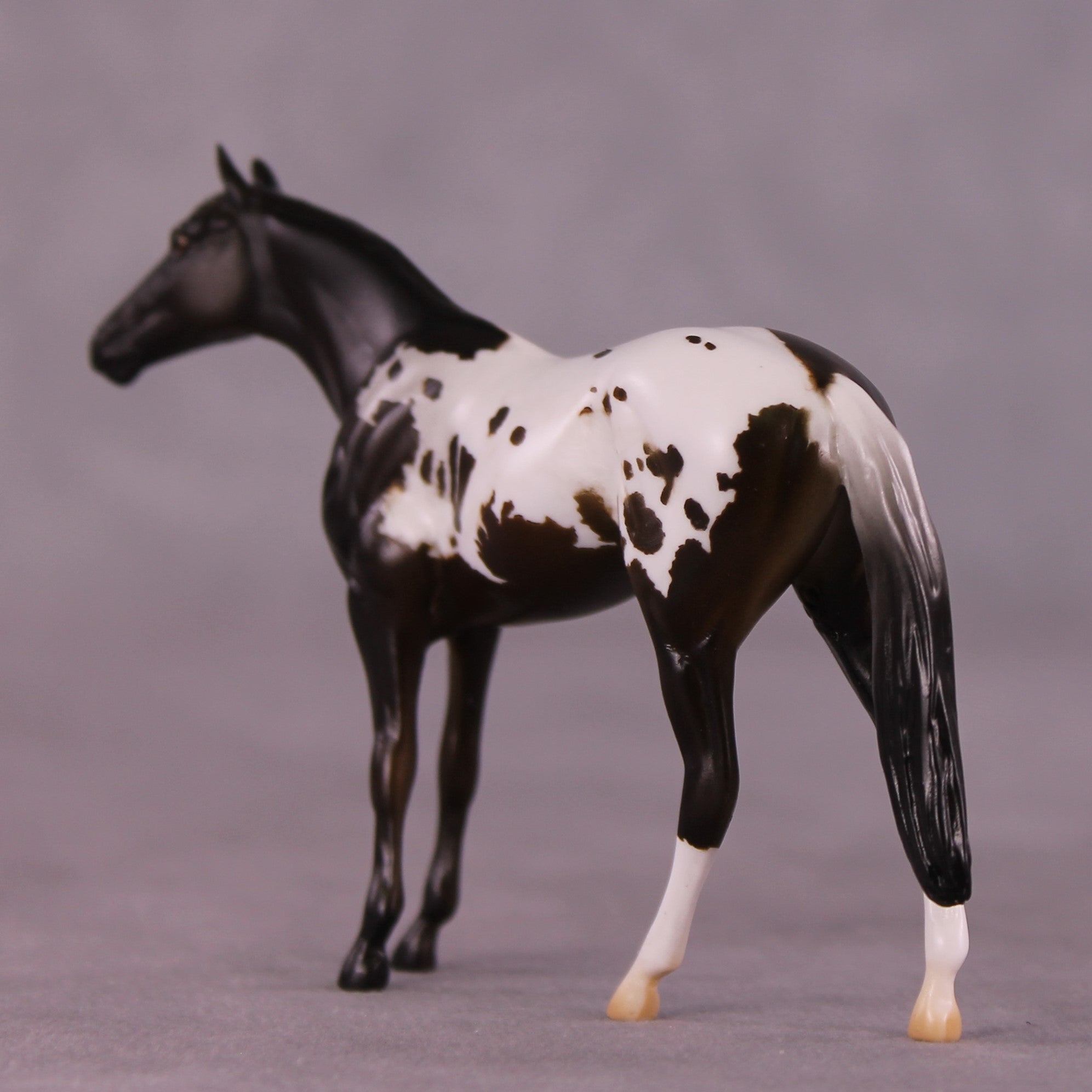 "Ralph" LE-4 Thoroughbred Chip By Anna Rieck $99 Chips Sale
