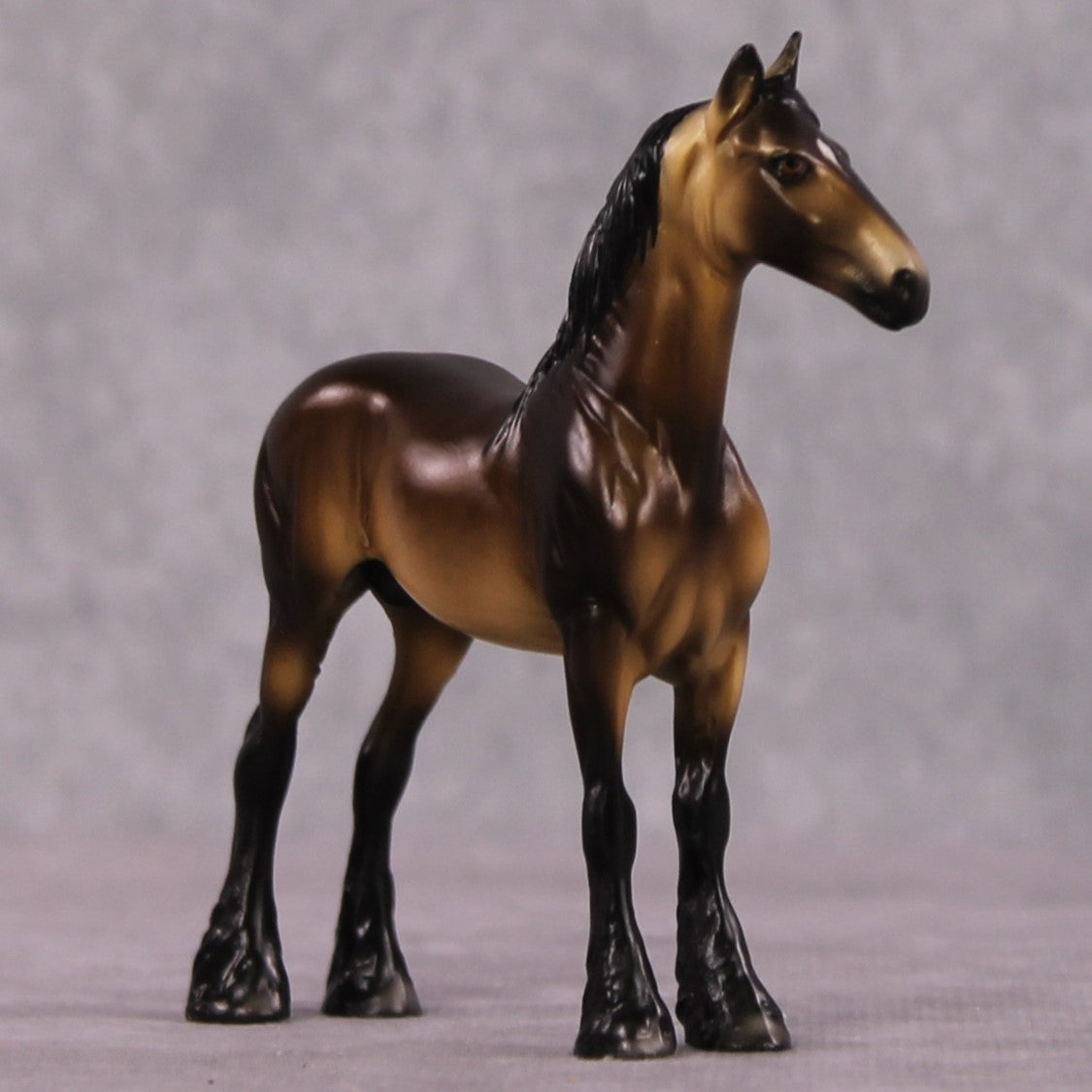 "Obscura" OOAK Dappled Sooty Buckskin Drafter Chip By Ellen Robbins Shakespeare Sonnet 18 &amp; 130 Chips CL25