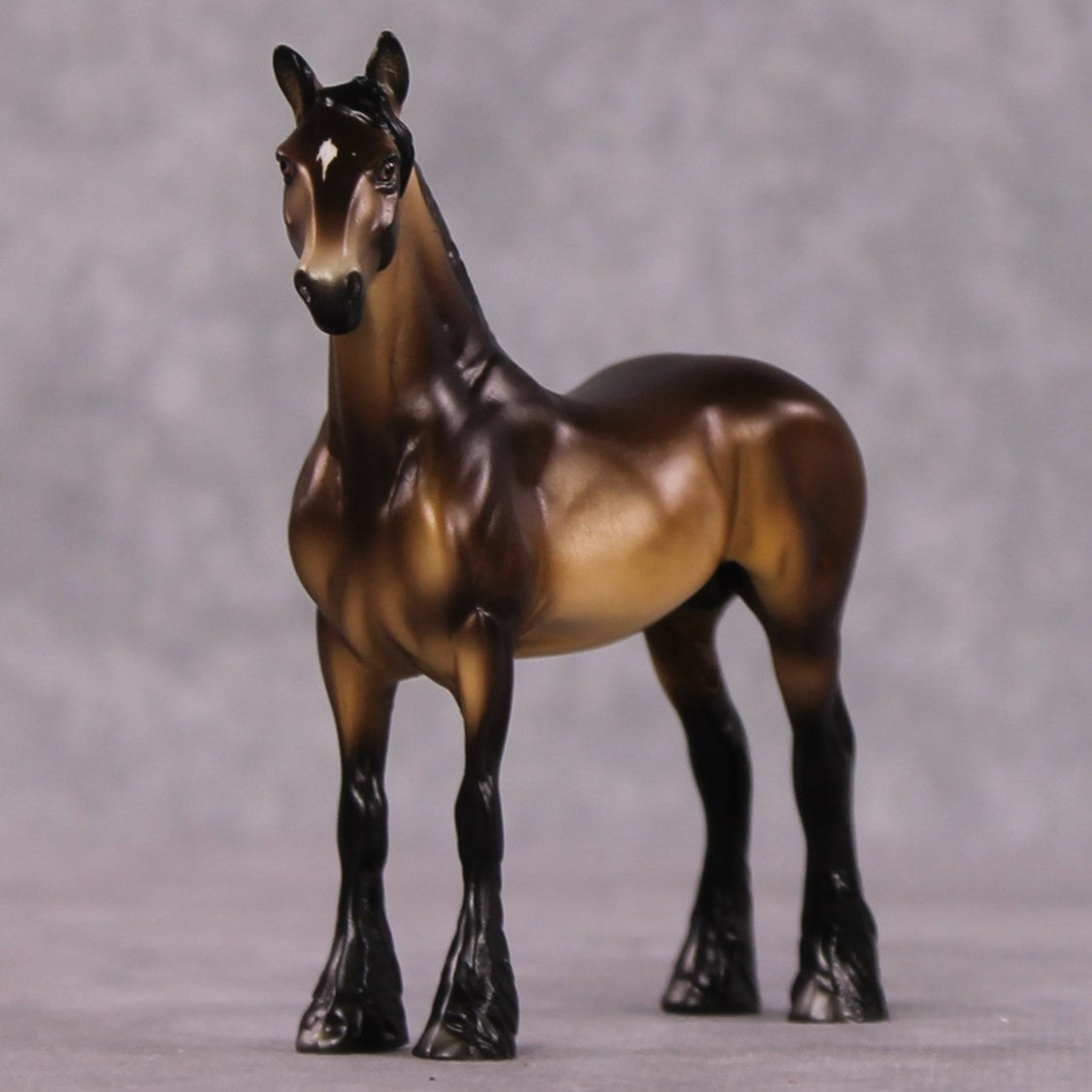 "Obscura" OOAK Dappled Sooty Buckskin Drafter Chip By Ellen Robbins Shakespeare Sonnet 18 &amp; 130 Chips CL25