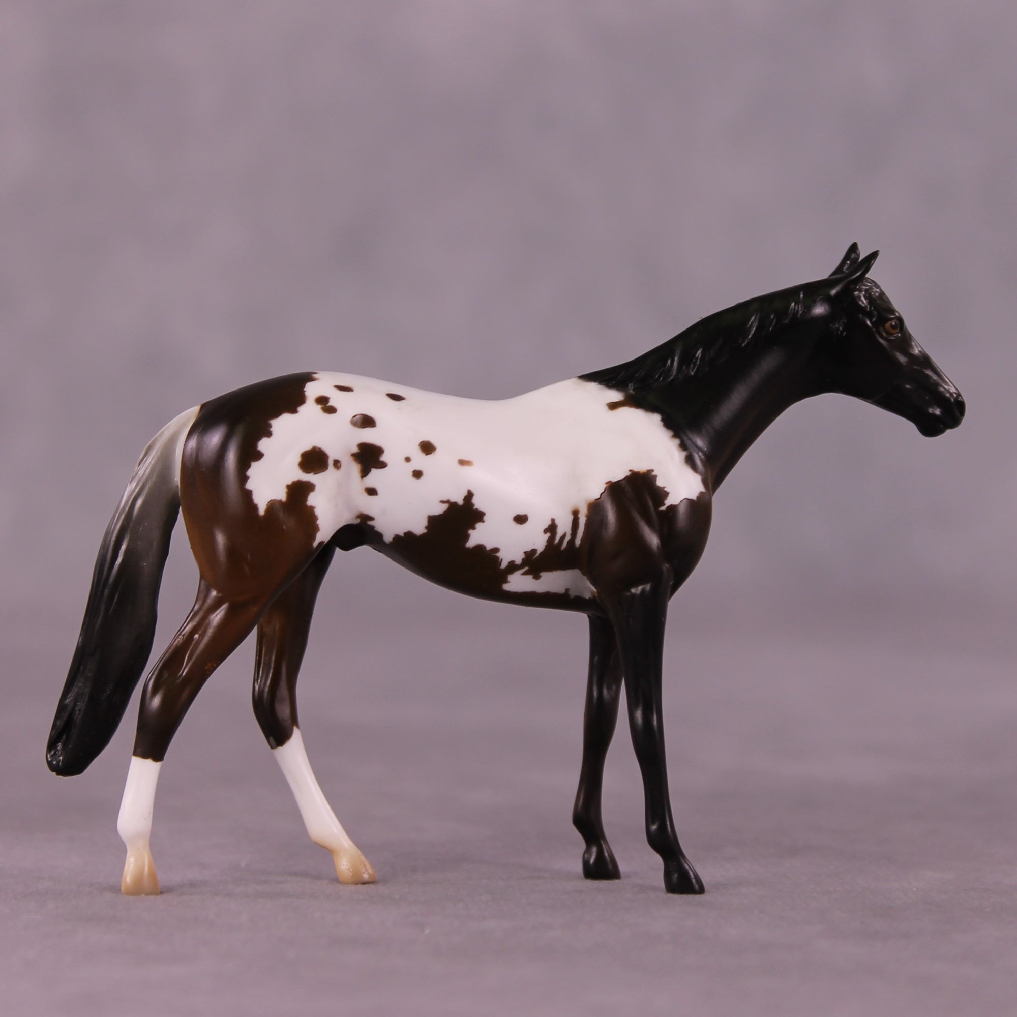 "Ralph" LE-4 Thoroughbred Chip By Anna Rieck $99 Chips Sale