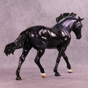 Brachium LE-10 FCM Irish Draught by Ashley Palmer ZS25