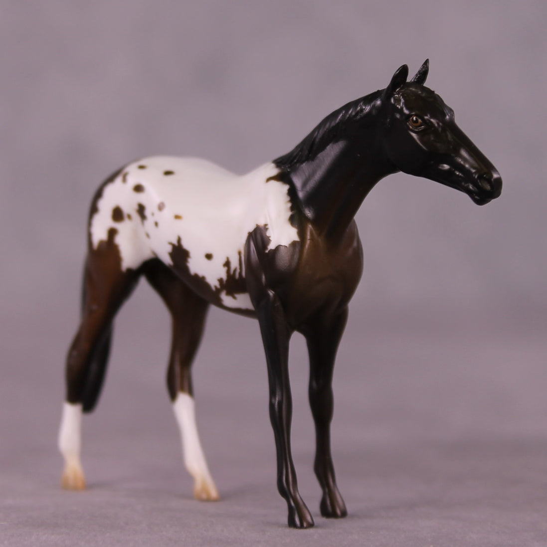 "Ralph" LE-4 Thoroughbred Chip By Anna Rieck $99 Chips Sale