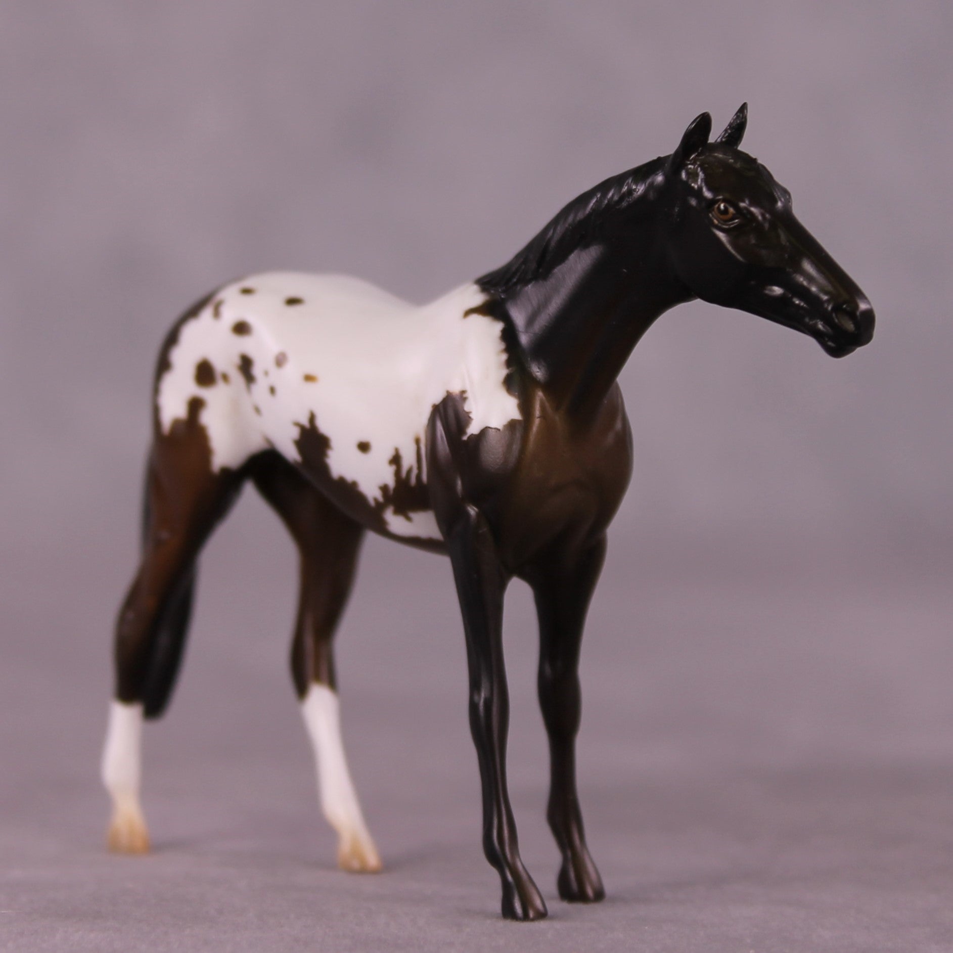 "Ralph" LE-4 Thoroughbred Chip By Anna Rieck $99 Chips Sale