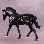 Brachium LE-10 FCM Irish Draught by Ashley Palmer ZS25