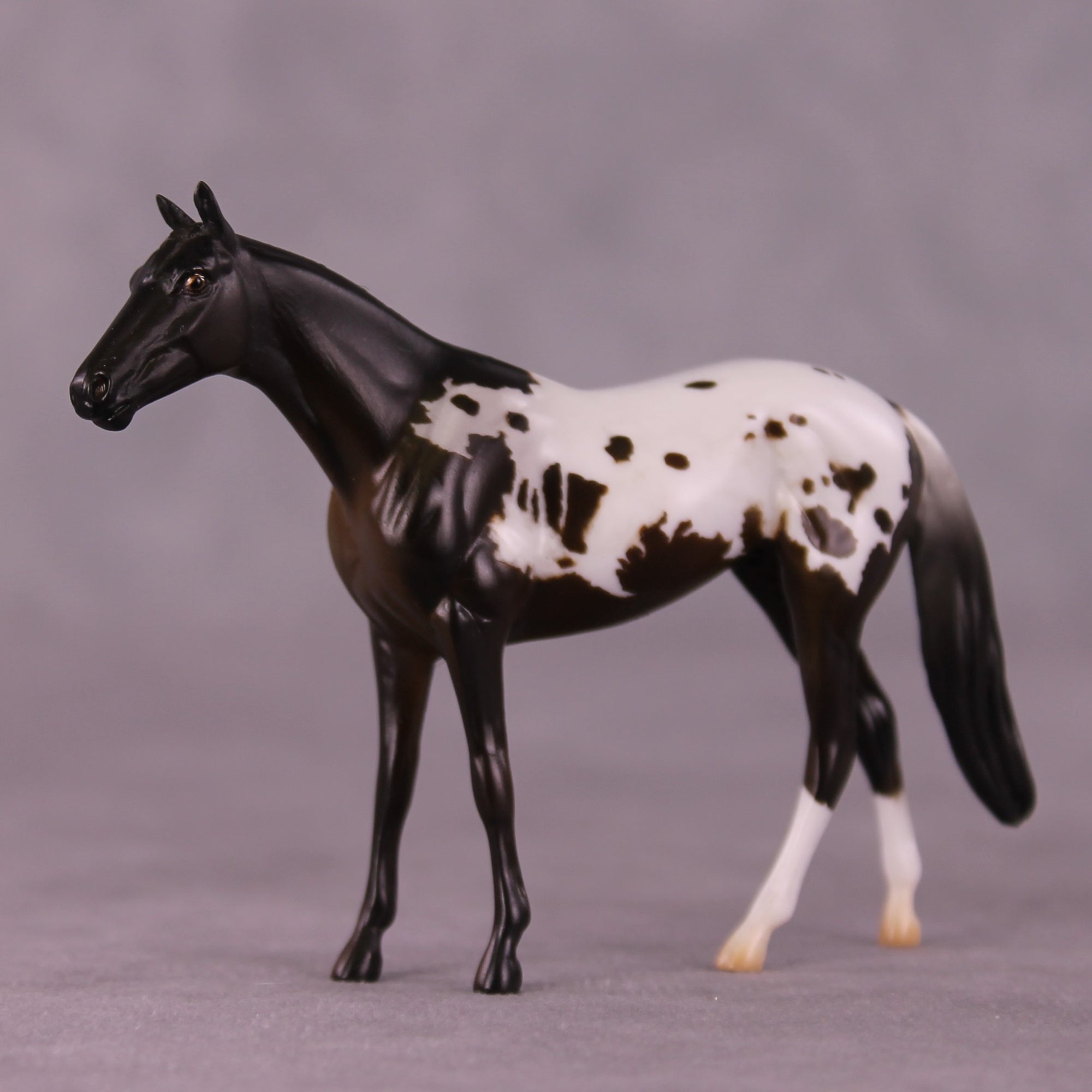 "Ralph" LE-4 Thoroughbred Chip By Anna Rieck $99 Chips Sale