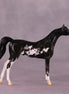 "Winston" LE-4 Arabian Chip By Anna Rieck $99 Chips Sale