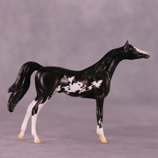 "Winston" LE-4 Arabian Chip By Anna Rieck $99 Chips Sale