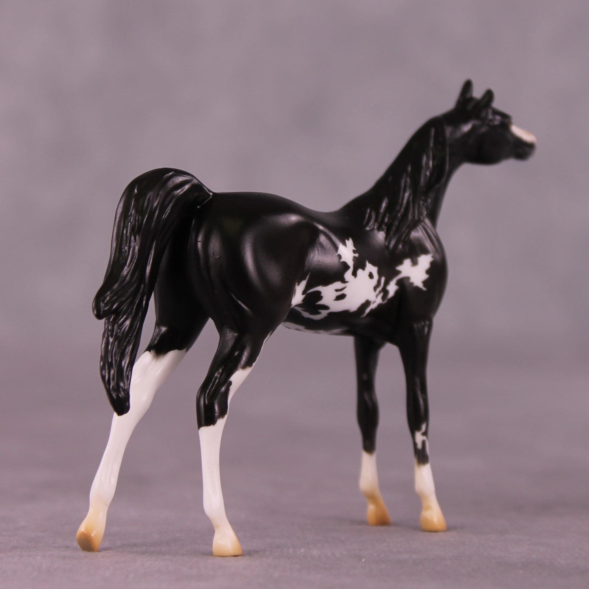 "Winston" LE-4 Arabian Chip By Anna Rieck $99 Chips Sale