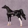 &quot;Winston&quot; LE-4 Arabian Chip By Anna Rieck $99 Chips Sale