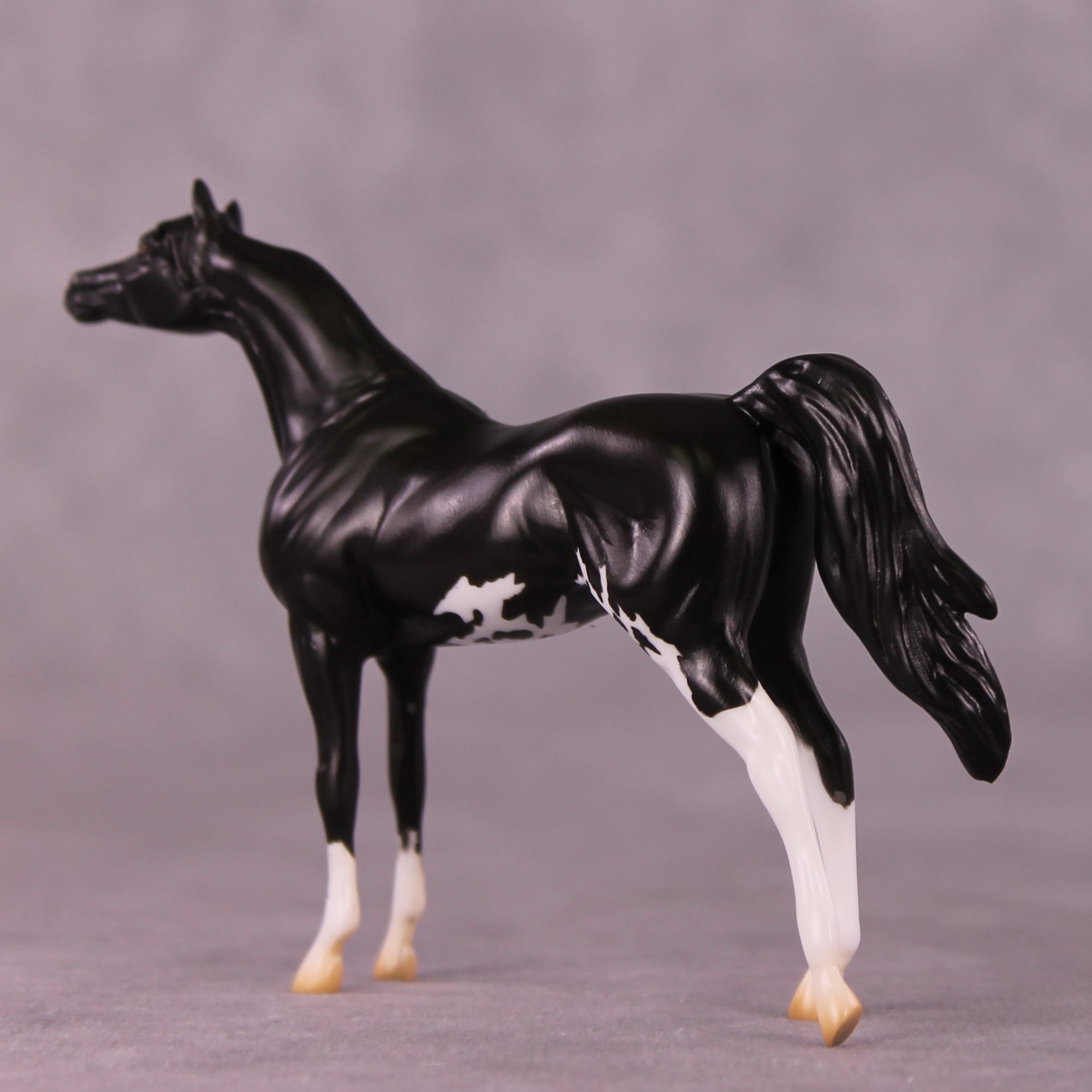 "Winston" LE-4 Arabian Chip By Anna Rieck $99 Chips Sale