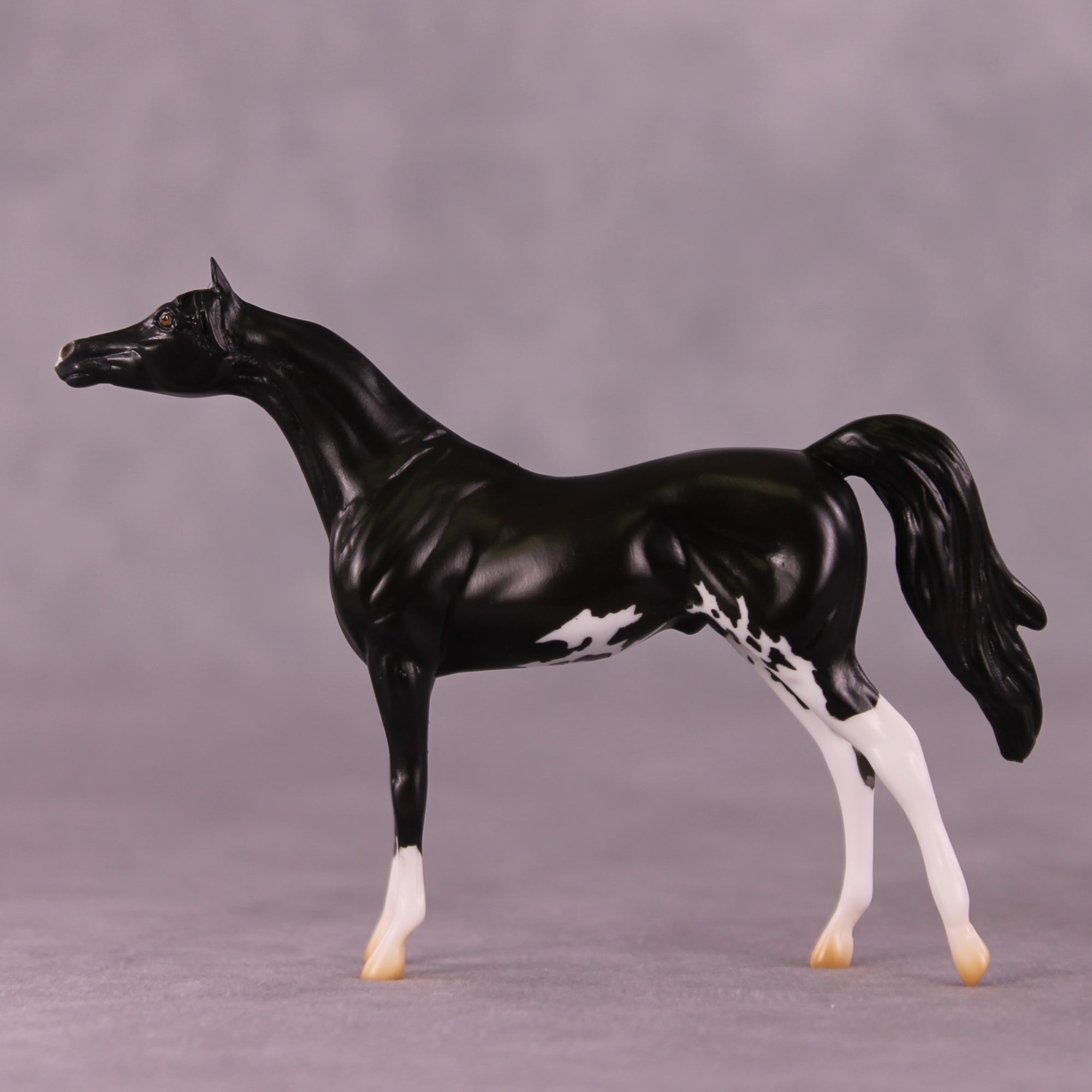 "Winston" LE-4 Arabian Chip By Anna Rieck $99 Chips Sale