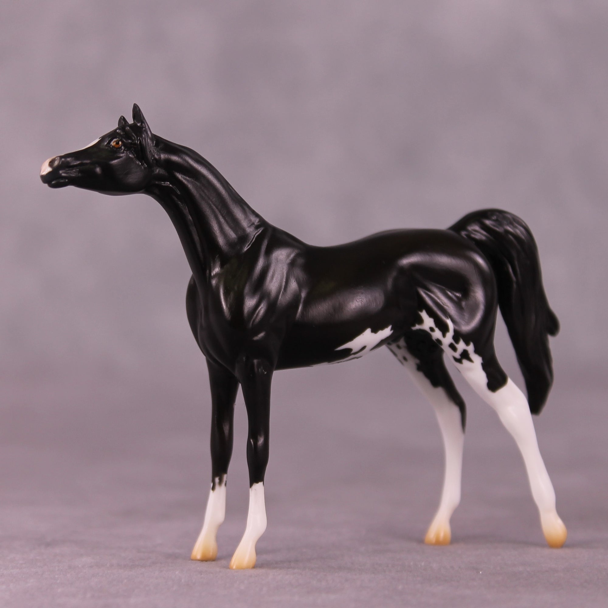 "Winston" LE-4 Arabian Chip By Anna Rieck $99 Chips Sale