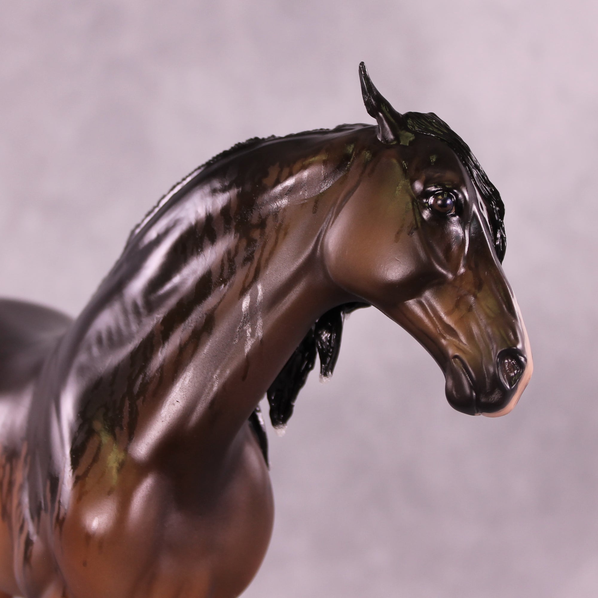 Searching for a Silver Lining OOAK EFCM Andalusian by Jess Hamill Best Offer 10/7/25