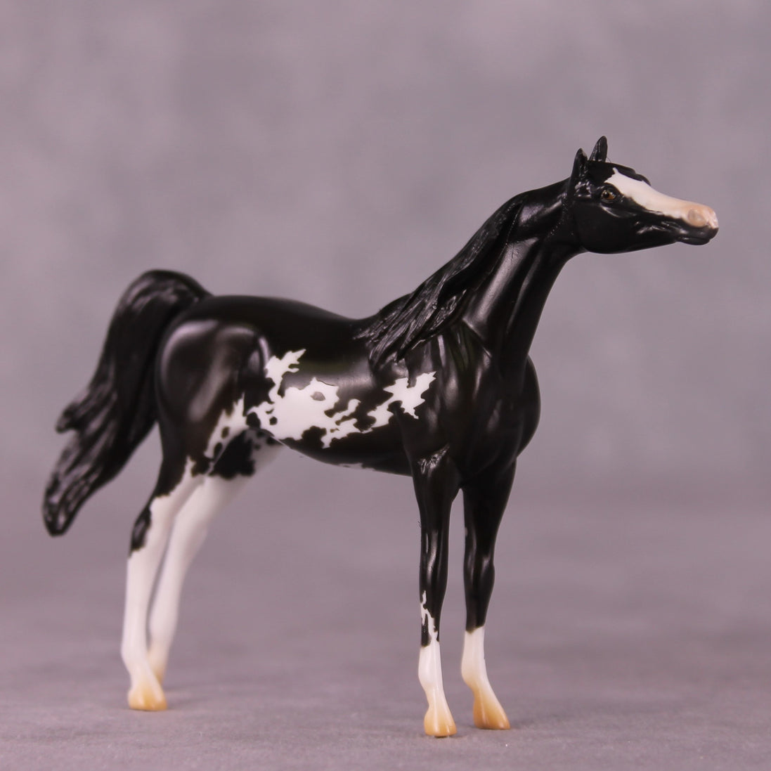 "Winston" LE-4 Arabian Chip By Anna Rieck $99 Chips Sale