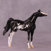 &quot;Winston&quot; LE-4 Arabian Chip By Anna Rieck $99 Chips Sale