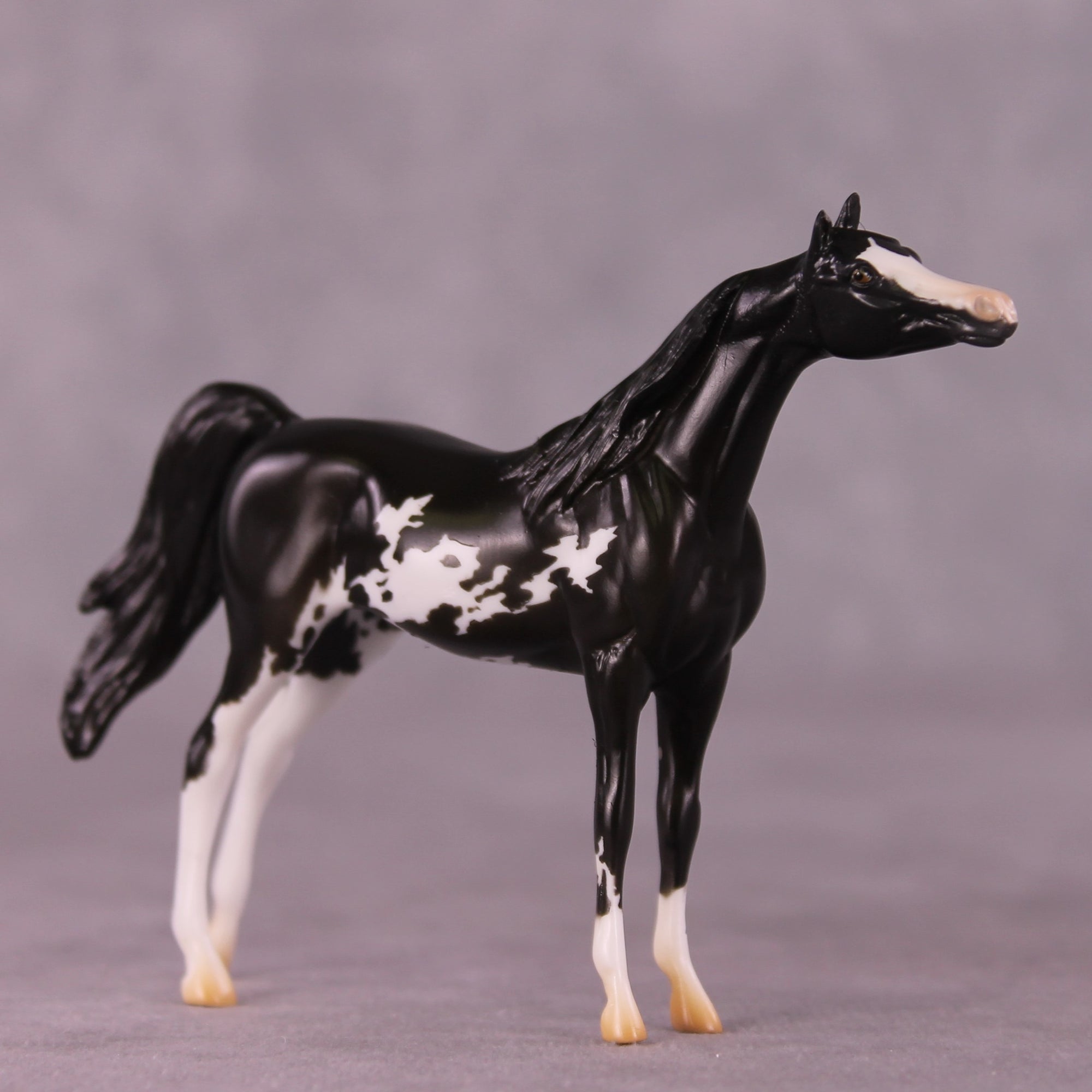 "Winston" LE-4 Arabian Chip By Anna Rieck $99 Chips Sale