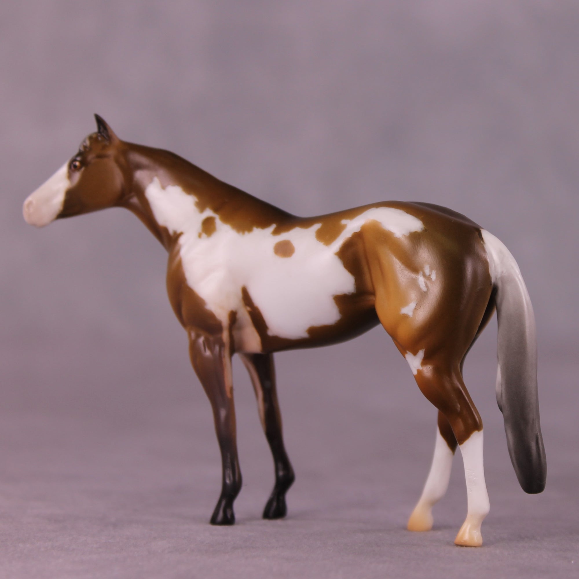 "Eugene" LE-4  Stock Chip By Anna Rieck $99 Chips Sale