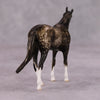 Conversational OOAK Roan Custom Thoroughbred Chip By Andrea Thomason MM24