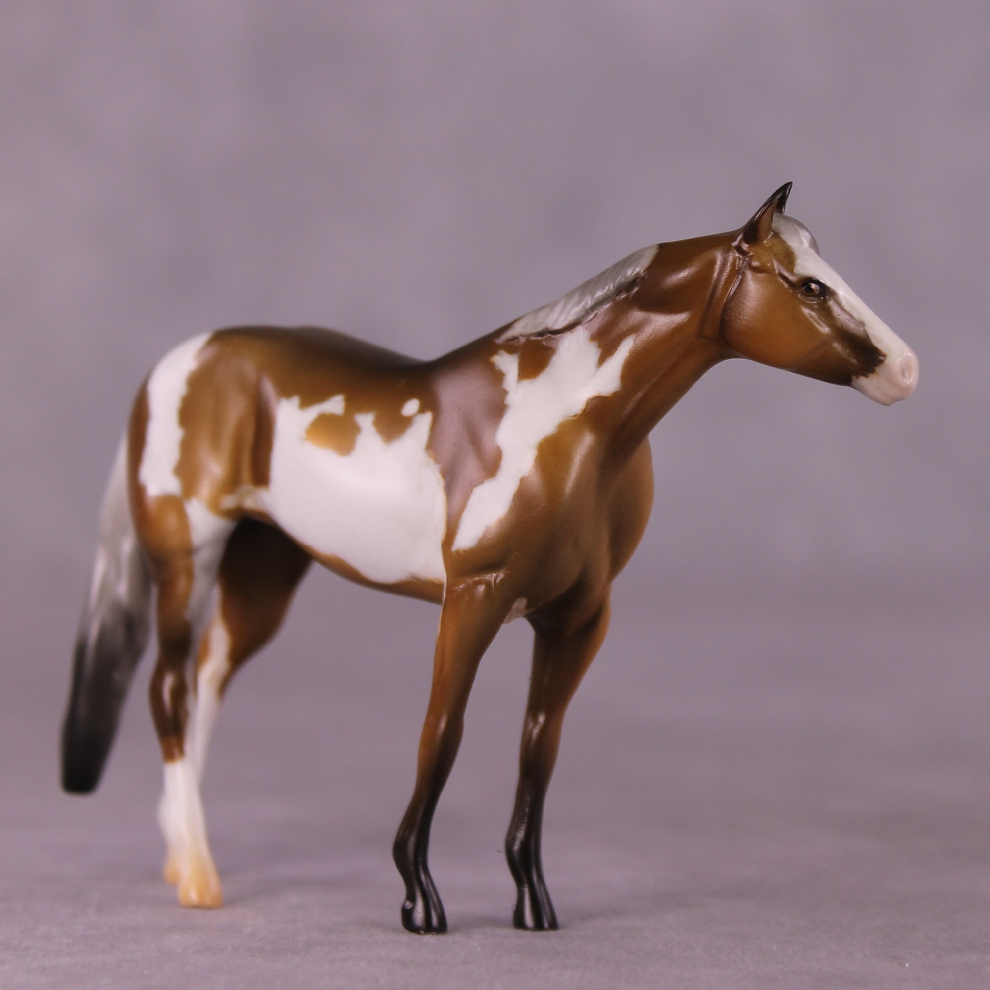 "Eugene" LE-4  Stock Chip By Anna Rieck $99 Chips Sale