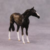 Conversational OOAK Roan Custom Thoroughbred Chip By Andrea Thomason MM24