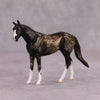 Conversational OOAK Roan Custom Thoroughbred Chip By Andrea Thomason MM24