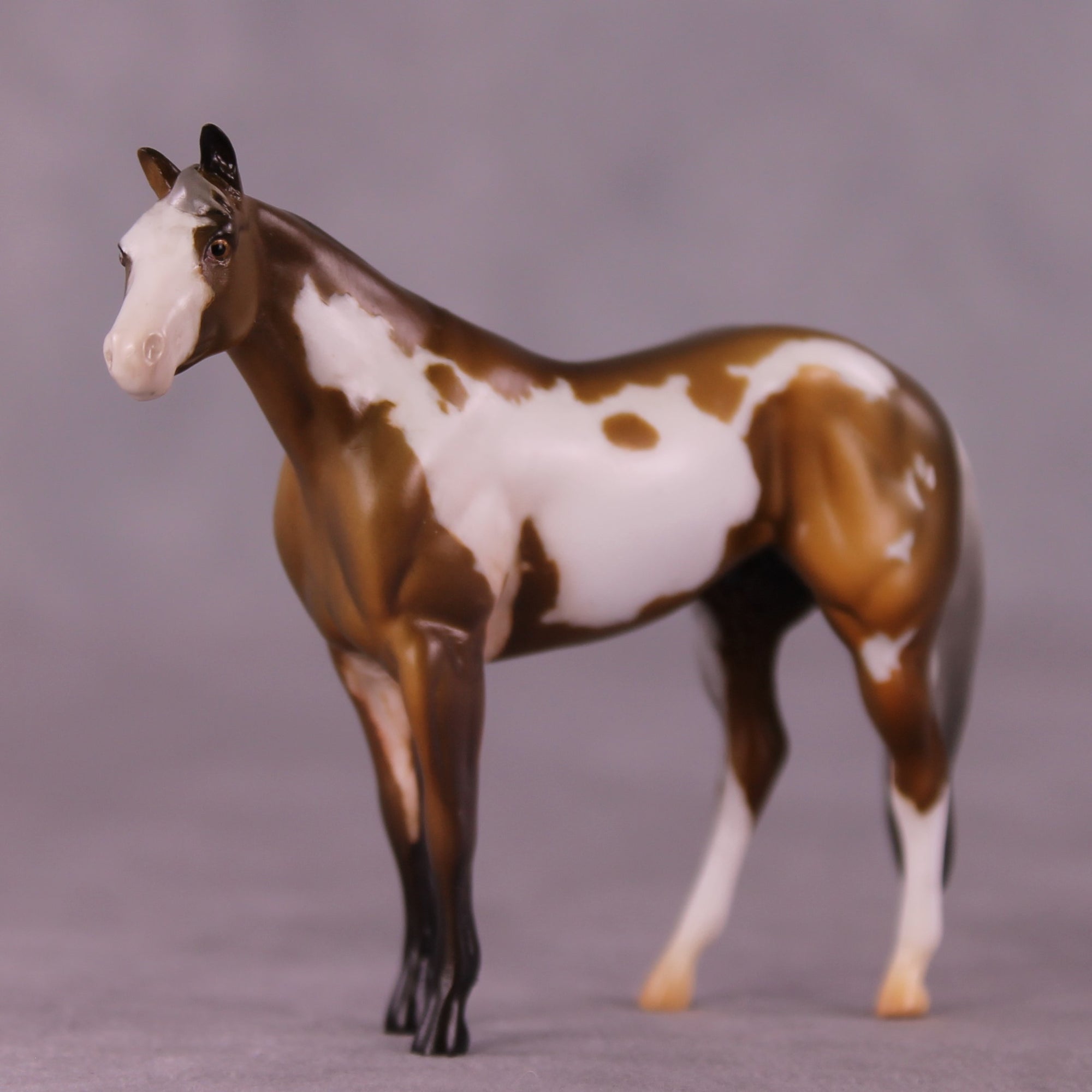 "Eugene" LE-4  Stock Chip By Anna Rieck $99 Chips Sale