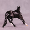 Edwin OOAK Cutter Chip by Anna Rieck LHS25