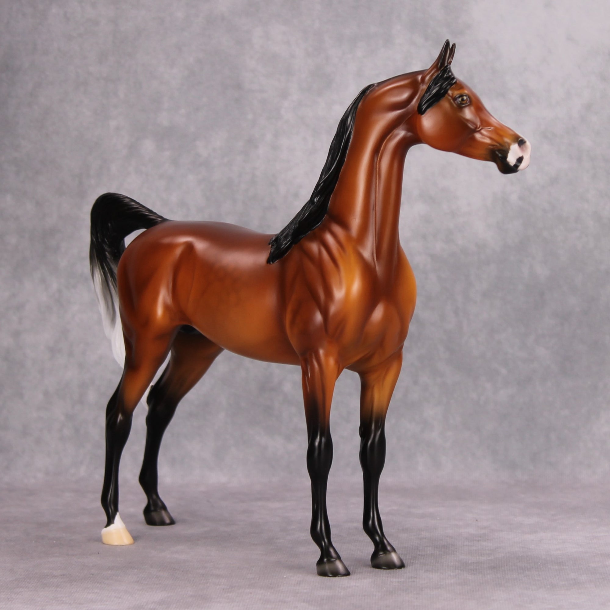 Need Smore Spooks OOAK Dappled Bay Arabian By Ellen Robbins MM24